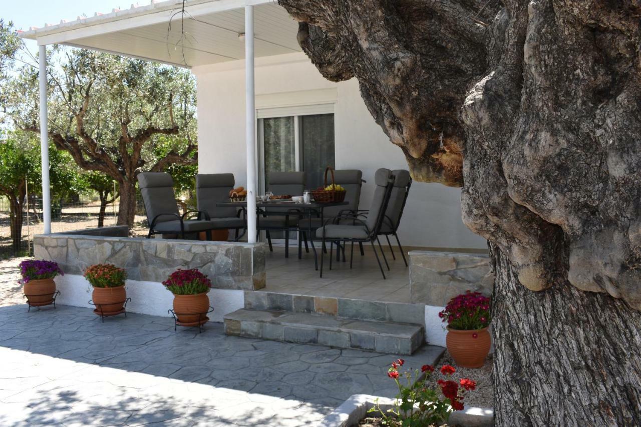 Olive Sense Villa Afando Esterno foto